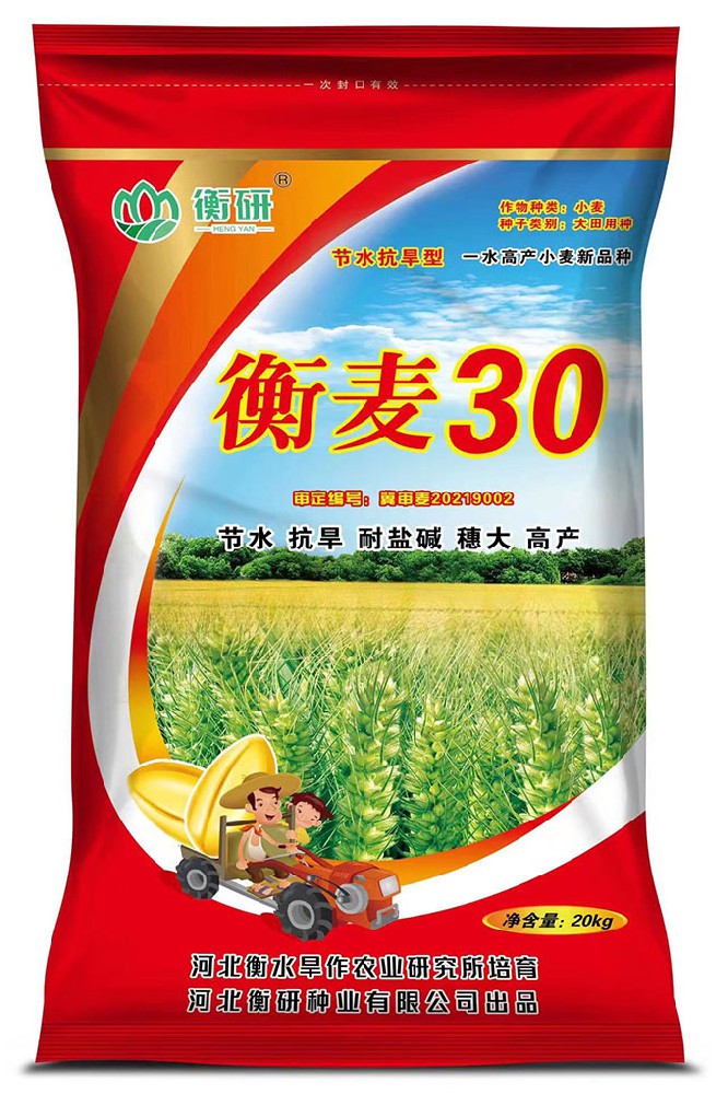 衡麥30
