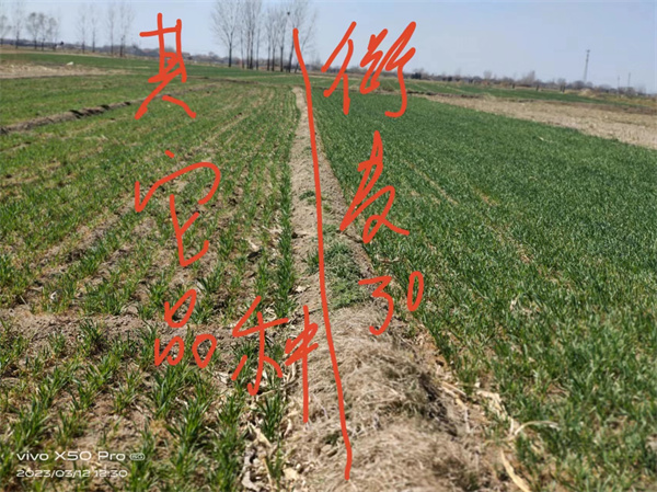 1683506271198089.jpg 1.jpg