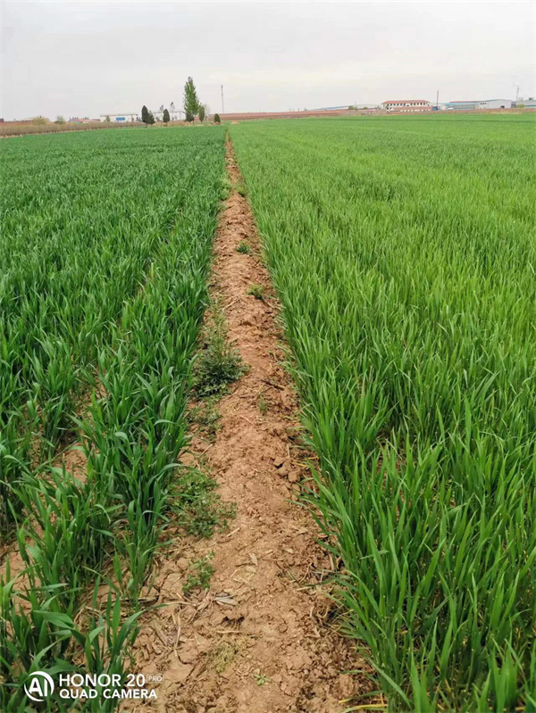 1683506280173603.jpg 2.jpg