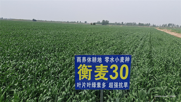 1683506287174384.jpg 3.jpg