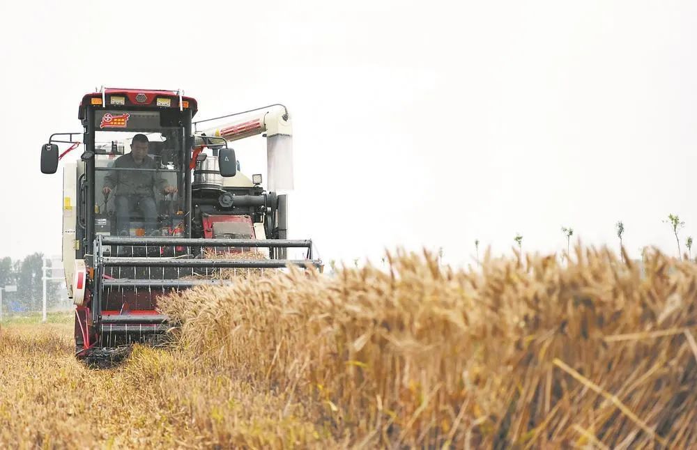 1685580929209192.jpg 1685580929209192.jpg